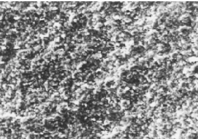 Figure 2. The Newmar stone shows a uniform surface, particles with no pointed angles and gaps (arrow)