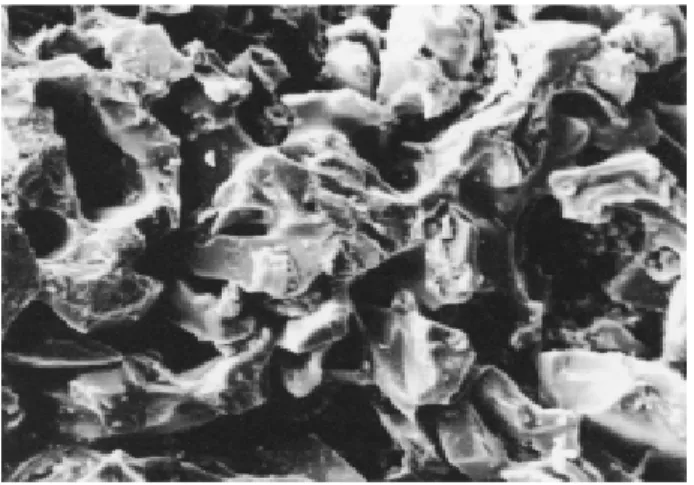 Figure 9. Aluminum Oxide stone surface with large particles with pointed angles, irregular surface and fissures (SEM: 500X).