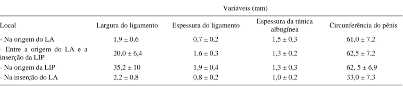 Tabela 1 - Média e desvio padrão das mensurações do ligamento apical (LA) na sua origem, inserção e na altura da lâmina interna do prepúcio (LIP) do pênis de touros da raça Girolando.