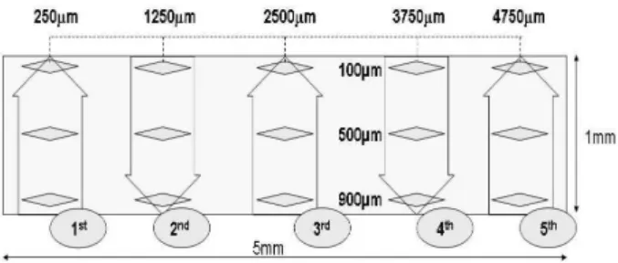 Figure 1. Schematic illustration of the sequence of Knoop hardness indentations.