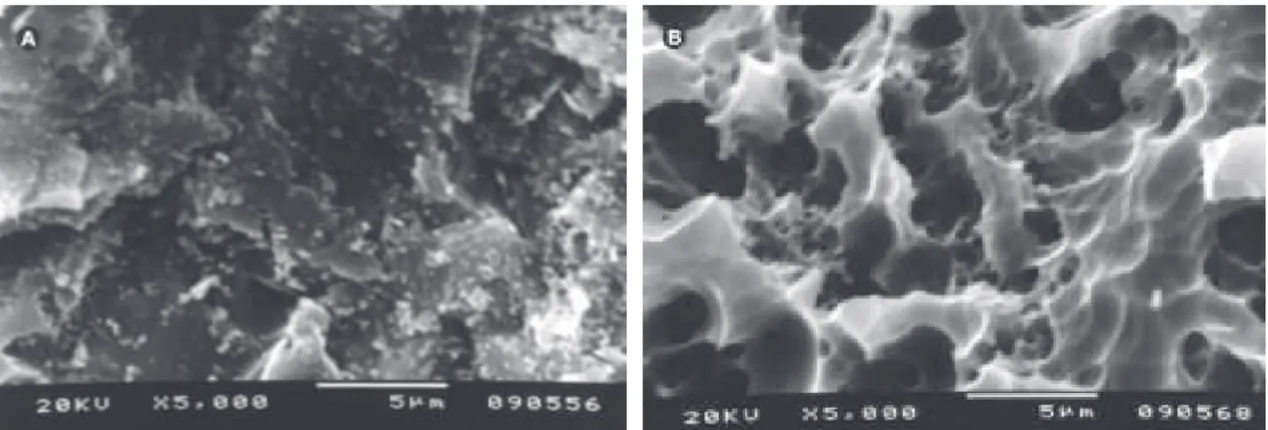 Figure 4. SEM micrograph of the ceramic surface abraded with 30 µm silica oxide particles (×5000) (A)