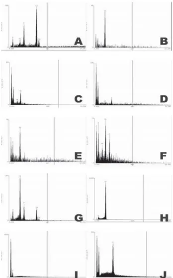 Table 1. Percentage of the chemical elements detected in the particles of inorganic cortical bovine bone (BIO-OSS), demineralized freeze-dried bone allograft (DFDBA), macroparticle organic cortical bovine bone (MaOCoBB), microparticle organic cortical bovi