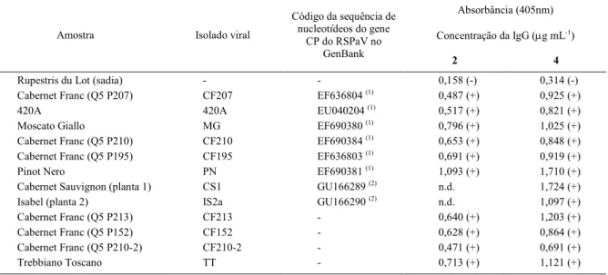 Tabela 1 - Resultados do teste ELISA indireto com amostras de videiras infectadas com RSPaV, utilizando-se o antissoro produzido contra a CP do RSPaV, expressada e purificada a partir de células de E