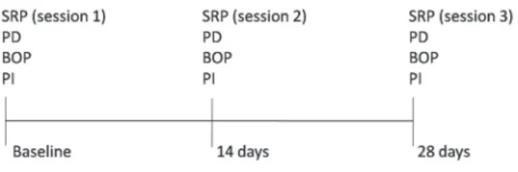Figure 1. Study design and timeline. All 60 patients had their clinical measurements recorded at baseline, 14 and 28 days.