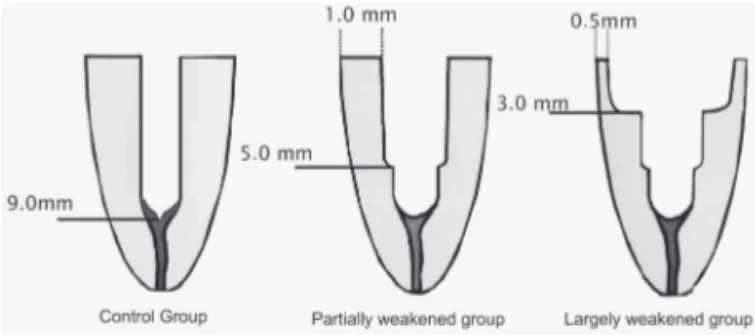 Figure 1. Diagram of the three study protocols.