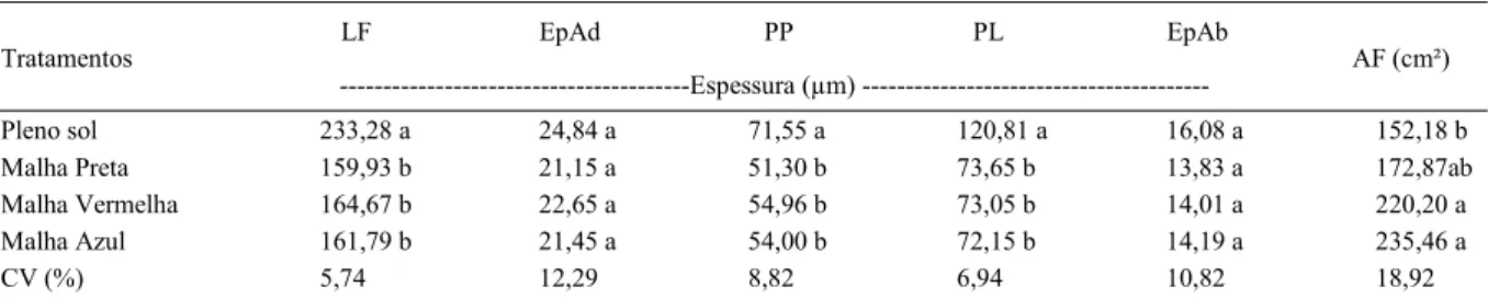 Tabela 1 - Espessura do limbo e tecidos foliares de O. gratissimum L. após cultivo sob malhas coloridas