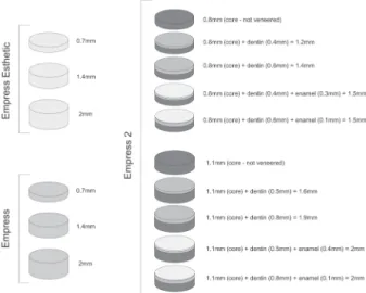 Figure 1. Description of the ceramic specimens evaluated in the study.