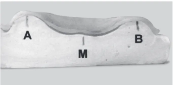 Figure 1. Referential points in the transverse sections used to determine the dimensional changes in the cast/resin set