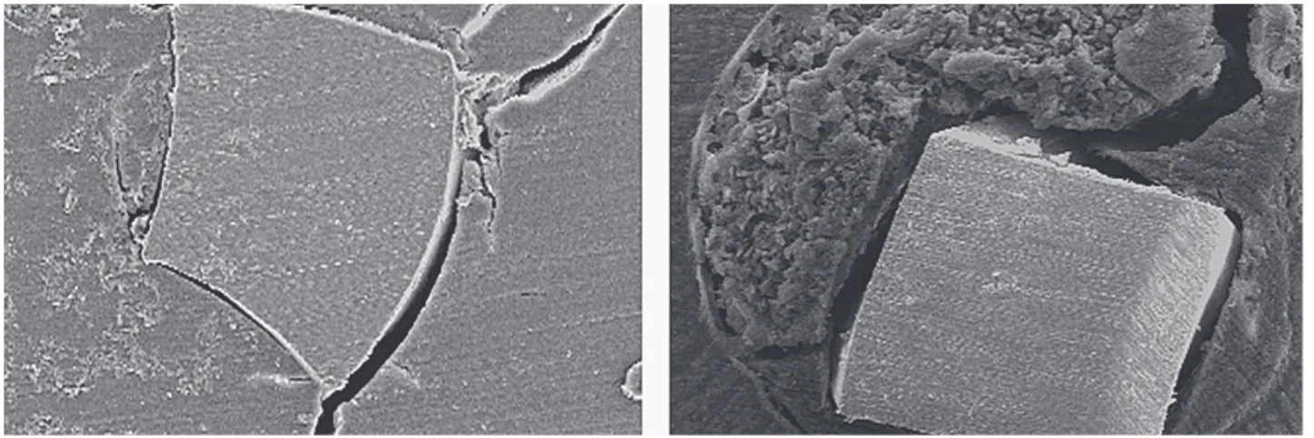 Figure 5. SEM micrograph of Group 5 (preflaring with LA Axxes burs). Cross-section at the working length (original magnification