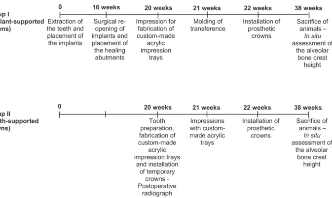 Figure 1. Summary of the clinical procedures and timelines of the study.
