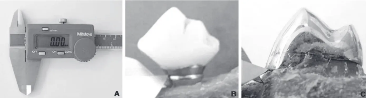 Figure 2. In situ measurements of the alveolar bone crest heights 16 weeks after crown placement (38 weeks after the beginning of the study)