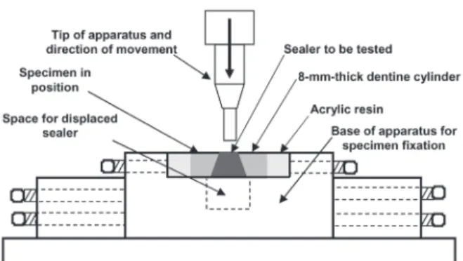Figure 1. Scheme of the specimen positioned on the apparatus for alignment and load application in the Instron 4444 universal testing machine.