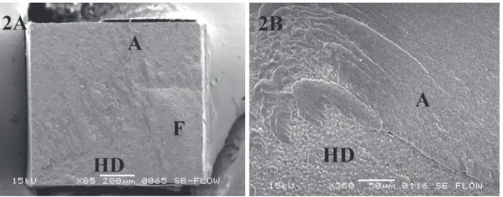 Figure 2. SEM photomicrographs illustrating fractured surfaces of groups with flowable application (2A- Single Bond and 2B- Clearfil SE Bond)