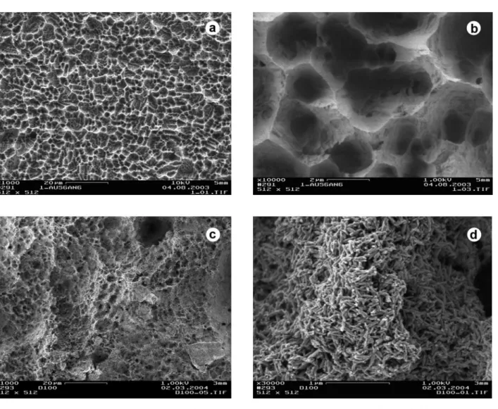 Figure  2.  Panel  of  SEM  micrographs.  (A)  View  of  the  microstructured  surface  provided  by  sandblasting/acid-etching  (×1,000  magnification); (B) The same microstructured surface at higher magnification (×10,000 magnification); (C) The microstr