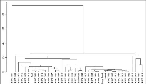 Figura 1 - Dendrograma de dissimilaridades genéticas entre 40 acessos de tomateiro do grupo cereja, obtido pelo método UPGMA, com base em nove caracteres, utilizando-se a distância generalizada de Mahalanobis