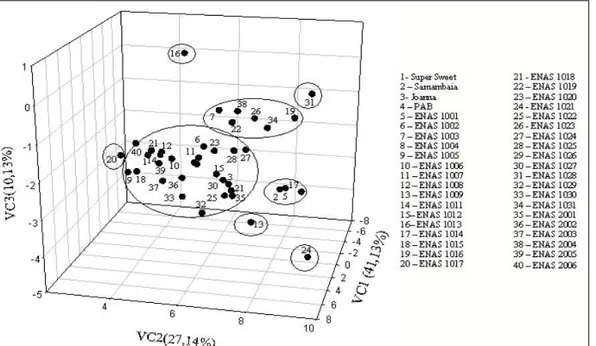 Figura 2 - Dispersão gráfica dos escores em relação aos eixos representativos das variáveis canônicas (VC1, VC2 e VC3) relativos a 9 caracteres estudados em 40 acessos de tomateiro do grupo cereja