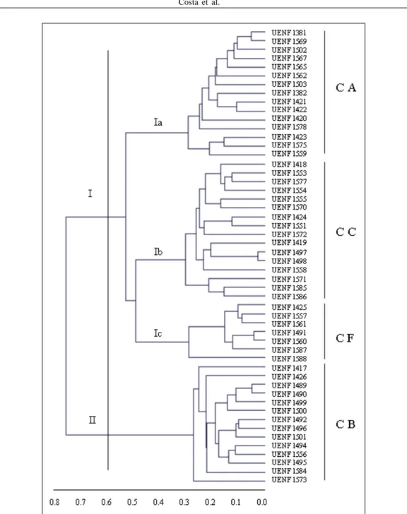 Figura 3 - Dendrograma obtido pelo método UPGMA, com base nos dados conjuntos, entre 52 acessos de Capsicum spp