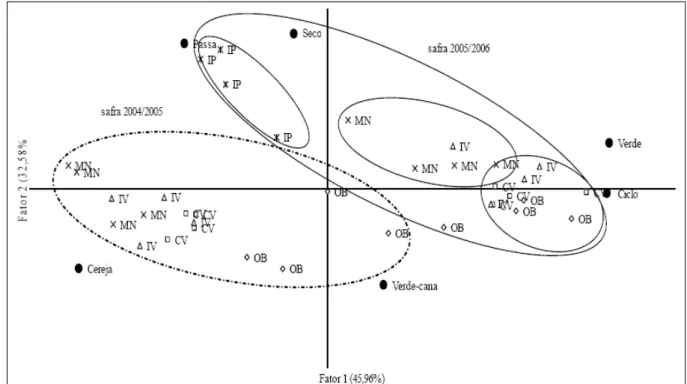 Figura 3 - Análise de componentes principais das variáveis fenológicas associadas às cultivares ‘Obatã’ (OB), ‘Catuaí Vermelho’ (CV), ‘Icatu Vermelho’ (IV), ‘Mundo Novo’ (MN) e ‘Icatu Precoce’ (IP) nas safras 2004/2005 e 2005/2006