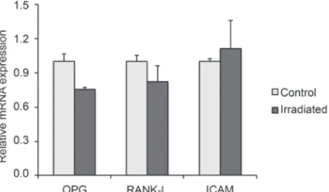Figure 5. Effect of LLLT on the expression of genes related to  osteoblastic phenotype of osteoblastic cells cultured on Ti at 14  days