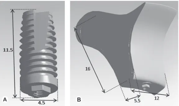 Figure 1. Implant dimensions (A) and model dimensions with cortical and cancellous bones (B) expressed in millimeters
