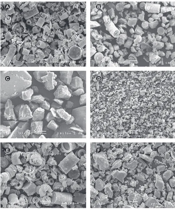 Figure 2. Panel of SEM micrographs of elastomeric materials (1,200×). A= Reprosil A+ Putty: Diatomite particles can be seen with  several shapes and sizes, predominating cylindrical and perforated sticks; B= Reprosil A+ Regular: cylindrical diatomite parti