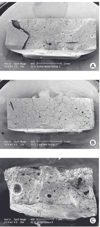 Figure 2. SEM micrographs of the internal surfaces of: (a) Ketac  Molar  (×15  magnification);  (b)  Ketac  Molar  Easymix  (×15  magnification); and (c) Magic Glass ART (×20 magnification)