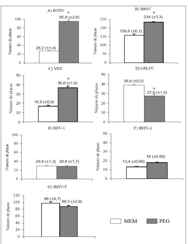 Figura 1 - Efeito do polietilenoglicol (PEG) sobre o número de placas virais produzidas em células de linhagem de rim bovino (MDBK) pelo vírus da diarréia viral bovina (BVDV) (A); vírus respiratório sincicial bovino (BRSV) (B); vírus da estomatite vesicula