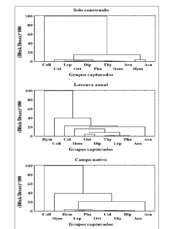 Figura 1 - Dendrogramas da abundância total dos grupos componentes da fauna edáfica em solo construído, lavoura anual e campo nativo em dois períodos de coleta