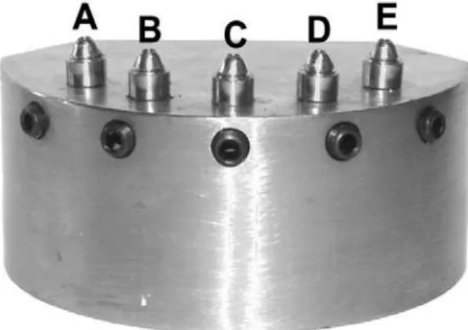 Figure 1. Metal matrix and abutment analog disposition.