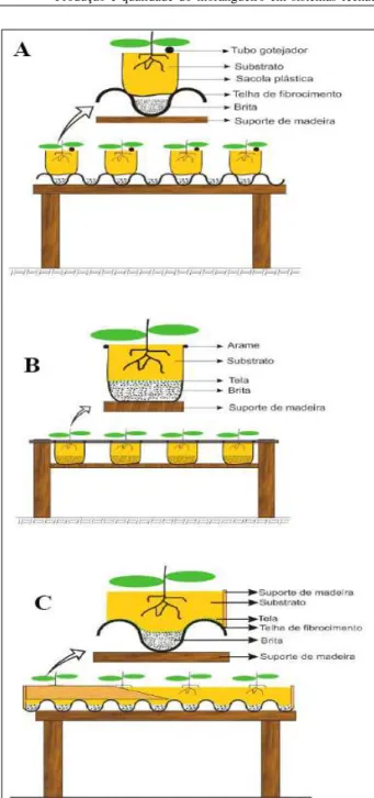 Figura 1 - Diagrama dos sistemas fechados de cultivo sem solo do morangueiro do tipo sacolas (A), calhas (B) e leito de cultivo (C)