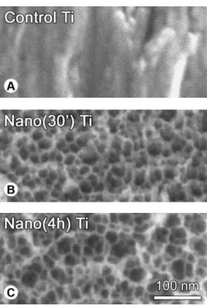 Figure 1. High resolution scanning electron micrographs of Ti  surfaces. (A) The control, untreated surface appears smooth at the  nanoscale