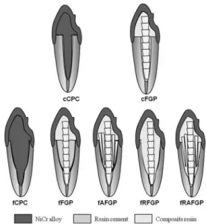 Figure 1. Schematic illustration of the specimen’s dimensions. A. 