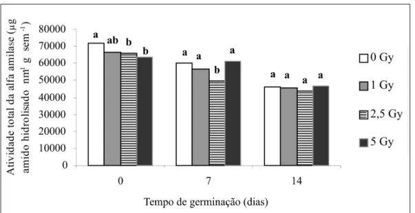 Figura 2 - Atividade total da enzima alfa amilase em sementes de arroz submetidas ao envelhecimento artificial, à secagem em estufa e à irradiação gama nas doses de 0; 1; 2,5 e 5Gy