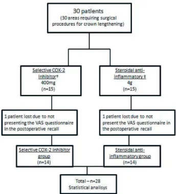 Figure  1  presents  the  study  flowchart.  Thirty  patients, presenting a total of 30 areas requiring surgical  procedures  for  crown  lengthening,  were  initially  recruited  at  the  beginning  of  the  study