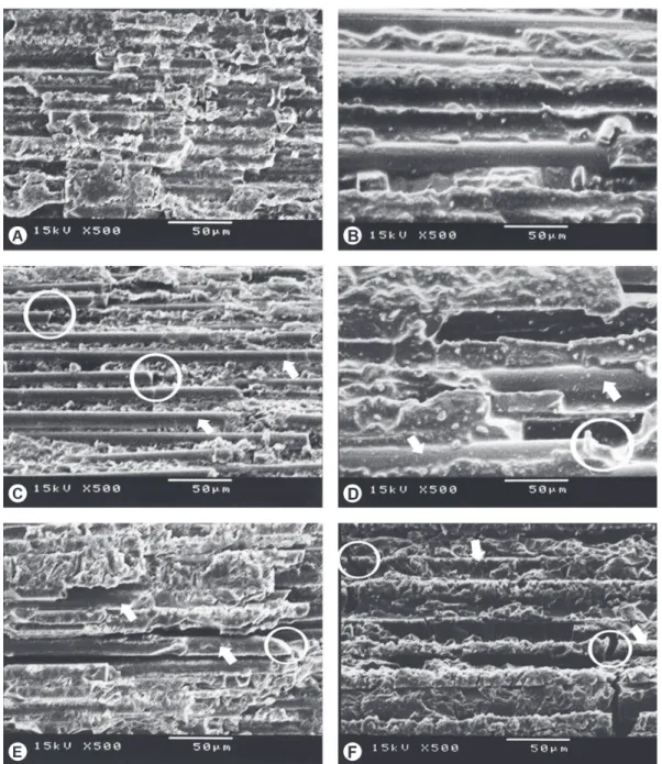 Figure 2. SEM micrographs of the post surfaces after different treatments (×500). A: Serrated post treated with 10% HP/10 min