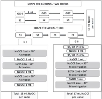Figure 1. Diagram illustrating the procedures employed to shape  the coronal and apical third.