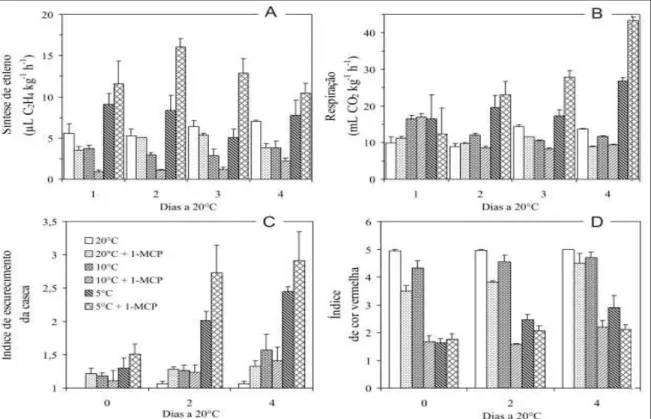 Figura 1 - Efeito da aplicação de 1-MCP na concentração de 1μL L -1  de ar da câmara e da temperatura de armazenamento sobre