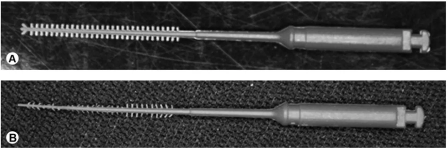 Figure 2. CanalBrush before (A) and after (B) rotation inside the root canal. Deformation of bristles is obvious.