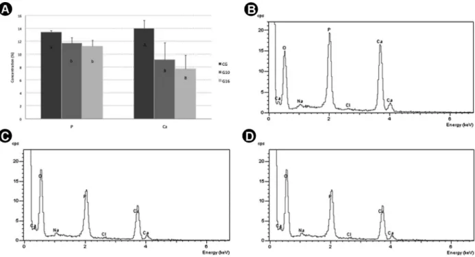 Figure 1. EDX Analysis. A: Means of Ca and P content (%) in GC, G10 and G16. Letters indicate comparisons for each element