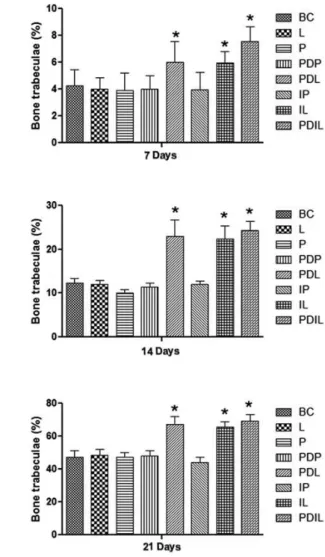 Figure 5. Quantification of bone trabeculae in tooth sockets at 7, 14 and  21 days after surgical procedures