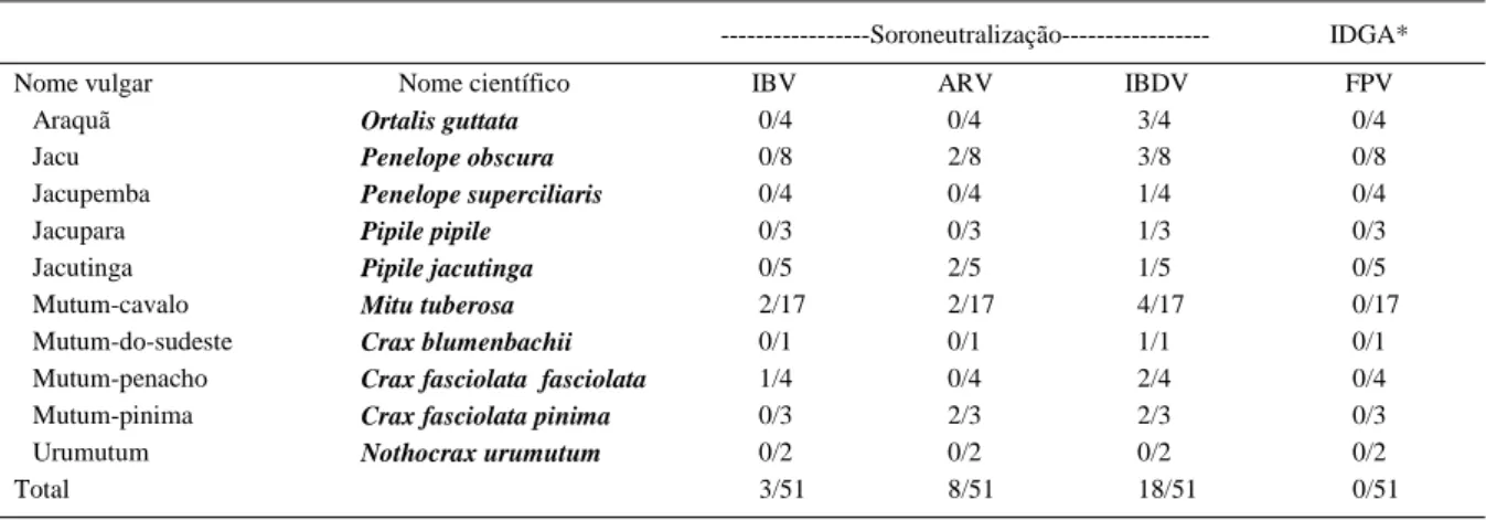 Tabela 1 - Prevalência de anticorpos contra o vírus da bronquite infecciosa das galinhas (IBV), reovírus aviário (ARV), vírus da doença infecciosa da bolsa (IBDV) e vírus da bouba aviária (FPV) em cracídeos cativos.