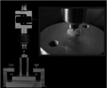 Figure 1. Root/post slice in the mechanical testing machine for the  push-out test.