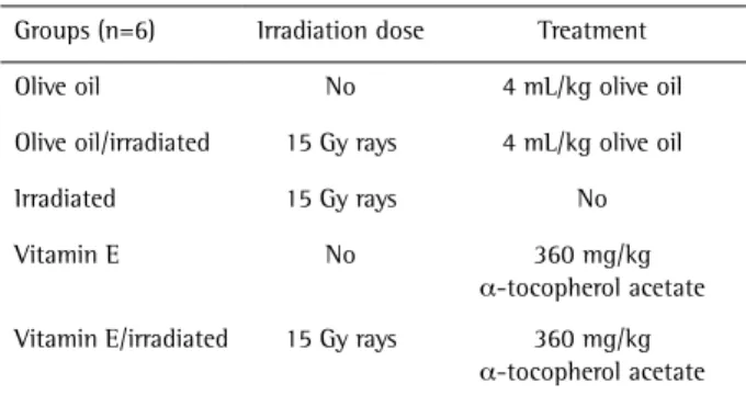 Table 2. Morphometric analysis of acinar cells in times of 8 h and 30  days after irradiation
