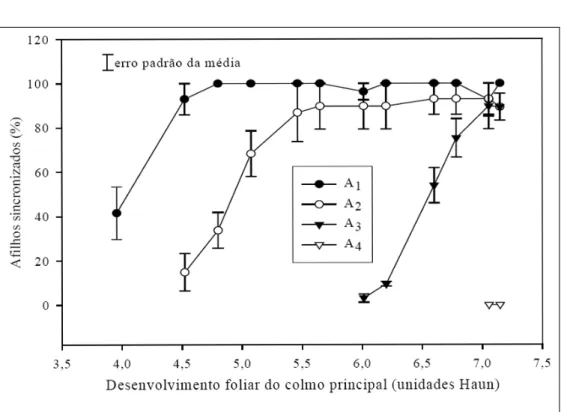Figura 5 - Percentual de afilhos (A 1 , A 2 , A 3  e A 4 ) com desenvolvimento foliar em sincronia com o