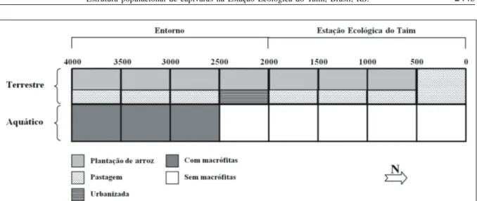 Figura 1 - Croqui da área de estudo representando os segmentos e as diferentes classes de uso e ocupação.