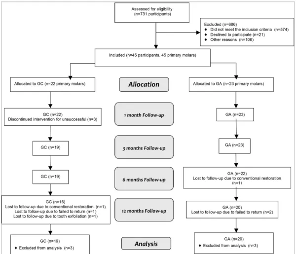 Figure 1. Diagram showing the flow of participants at each stage of the randomized trial