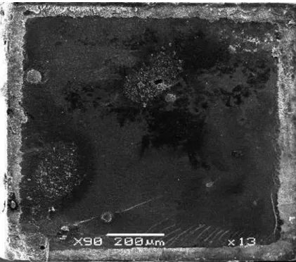 Figure 2. SEM of the dentin/bonding agent/composite interface after fracture for an  adhesive system without fluoride (Clearfil SE Bond), showing demineralization around  the bond area in the pH-cycling model