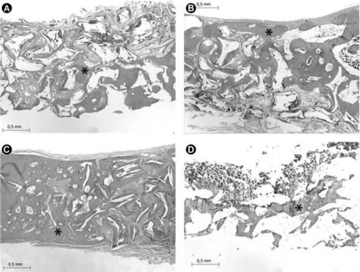 Figure 2. Bone formation in defects in the parietal bone of a rabbit filled with different biomaterials