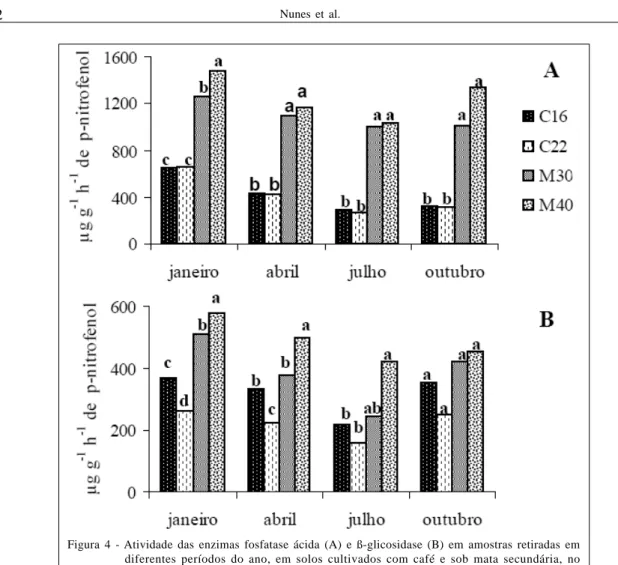 Figura 4 - Atividade das enzimas fosfatase ácida (A) e ß-glicosidase (B) em amostras retiradas em diferentes períodos do ano, em solos cultivados com café e sob mata secundária, no Município de Viçosa-MG.