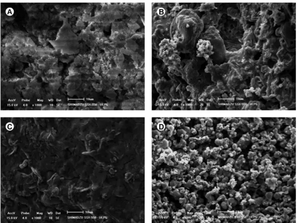 Figure 3. Dentifrices containing whitening agents: SEM micrographs of inorganic particles